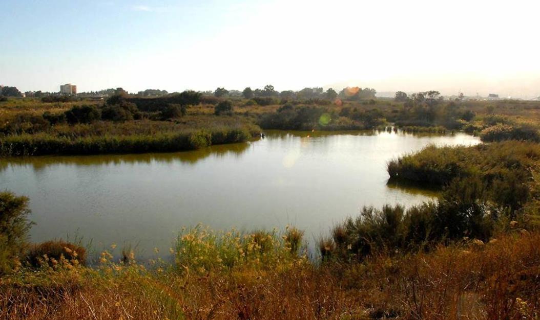 Guadalmarina - Playa, Naturaleza Y Ciudad